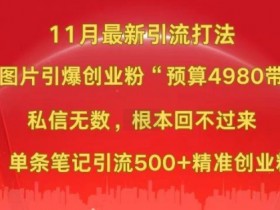 小红书11月图片打粉秘籍：单条引流500+创业粉，预算4980引爆精准流量-54创业网