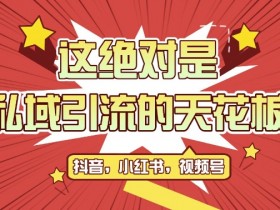 全平台引流玩法：公域转私域轻松获客500+，附脚本截流自热技巧-54创业网