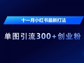 11月小红书爆款单图引流攻略：300+创业粉实战技巧大揭秘-54创业网