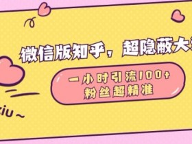 微信知乎隐藏入口：1小时精准引流100高质量粉丝技巧-54创业网