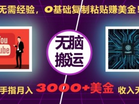 0基础赚美刀：无需经验！复制粘贴月入3000+刀，动动手指无上限【揭秘】-54创业网