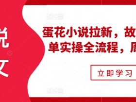 蛋花小说拉新攻略：故事混剪爆单实操，周入过万小说推文技巧-54创业网