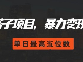 2024搭子玩法0门槛暴力变现：单日破四位数收入揭秘-54创业网