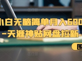 天涯神贴网盘拉新项目：新手小白轻松月入6000+无脑操作教程-54创业网