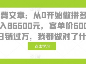 拼多多18天赚8万6：0基础日销过万秘籍（客单价600实战教程）-54创业网