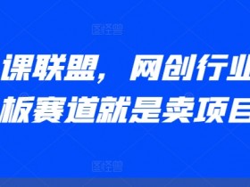 AI卖课联盟：网创行业最赚钱的卖项目赛道，轻松月入10万+-54创业网
