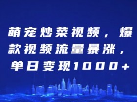 萌宠炒菜视频爆火：单日变现1k的流量暴涨秘诀-54创业网