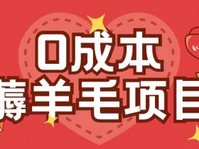 0成本薅羊毛玩法：1部手机单机1小时赚30+，1分钱不花轻松操作-54创业网
