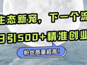 微信小绿书创业粉引流秘籍：日加500+精准粉丝，抢占微信新流量洼地-54创业网
