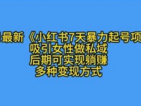 小红书7天暴力起号攻略：女性私域变现秘籍，K总部落11月最新玩法-54创业网