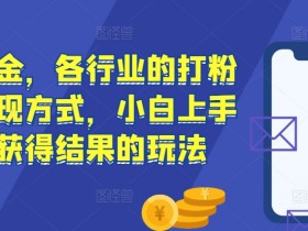 流量掘金：各行业打粉变现玩法，小白快速上手赚钱秘籍-54创业网