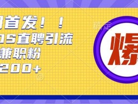 Boss直聘秘籍：每天轻松获取200+创业大鱼资源【实战技巧】-54创业网