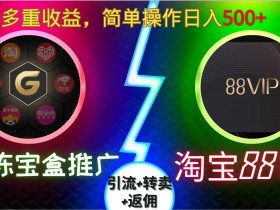 果冻宝盒88VIP推广赚钱攻略：引流转卖+返佣，日入500实操揭秘-54创业网