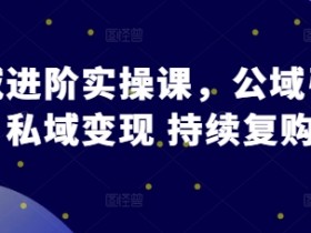私域运营实战课：公域引流+私域变现技巧，轻松提升复购率-54创业网