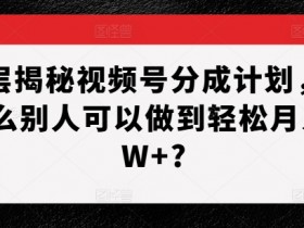 视频号分成计划怎么赚钱？揭秘轻松月入1W+的5个核心技巧-54创业网