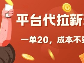 揭秘平台代拉新玩法：一单赚20元，成本不到2元！-54创业网