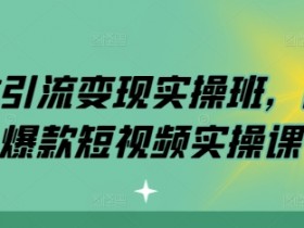 同城爆款短视频实操班：实体引流变现实战课-54创业网