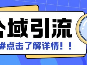 日引500+创业粉：全公域引流模版矩阵玩法，小白也能轻松操作-54创业网