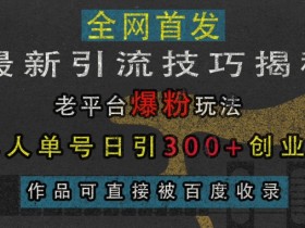 单人单号日引300+创业粉：最新引流技巧揭秘，老平台爆粉玩法，作品可被百度收录-54创业网