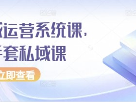 白手套私域运营系统课：从0到1打造高转化私域流量-54创业网