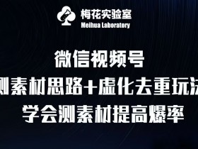视频号连怼技术：测素材思路+上下虚化去重玩法，梅花实验室社群专享-54创业网