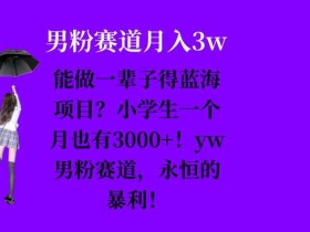 小学生月赚3000+的蓝海项目：yw男粉赛道暴利玩法，一辈子不愁！-54创业网