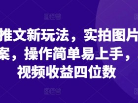 小说推文赚钱新玩法：实拍+文案日赚四位数，0基础轻松上手-54创业网
