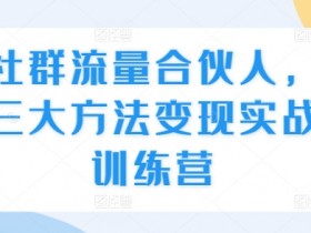 社群流量变现：3大合伙人实战方法训练营-54创业网