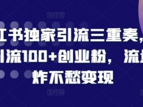 小红书引流秘籍：3招当天加满100+精准粉，流量爆棚轻松变现！-54创业网