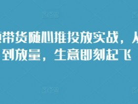 短视频带货随心推投放技巧：选品到放量实战，让生意快速起飞-54创业网