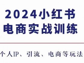 2024小红书电商3.0实战：个人IP打造+精准引流+电商变现秘籍-54创业网