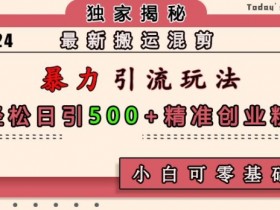 暴力引流玩法：搬运混剪日引500+创业粉，零基础小白轻松上手-54创业网