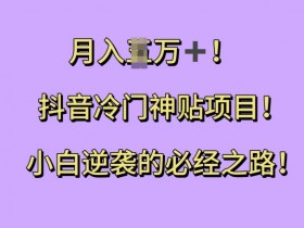 抖音冷门神贴项目揭秘：小白如何月入过W？逆袭攻略大公开-54创业网