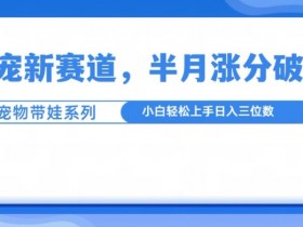 萌宠带娃轻松涨粉10万+：新手必看萌宠赛道爆火秘籍-54创业网