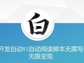 AI自动阅读脚本开发：美添赚零代码无限变现技巧大公开-54创业网