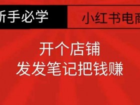 新手开零食店赚钱攻略：小红书笔记轻松引流爆单-54创业网