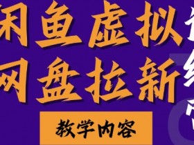 闲鱼虚拟网盘拉新训练营：两天快速入门，轻松赚取长久被动收入-54创业网