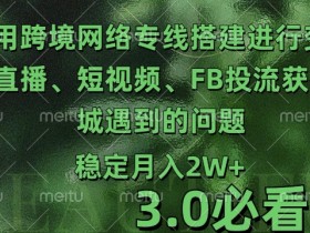 跨境电商变现3.0：TK直播+FB投流实战避坑指南-54创业网