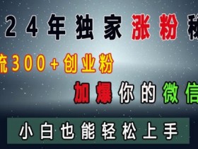 2024年创业粉涨粉秘籍：日引流300+加爆微信，小白轻松上手-54创业网