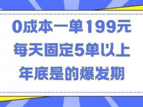0成本月入3万：揭秘人人都需要的199元爆单项目，年底旺季稳赚！-54创业网