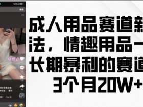 成人用品暴利赛道揭秘：3个月赚20万的行业新玩法-54创业网
