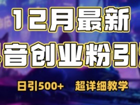 12月抖音创业粉引流秘籍：日增500+精准粉丝实战技巧-54创业网