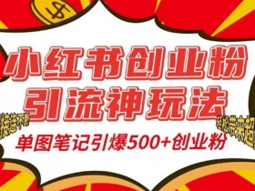 小红书创业粉引流秘籍：单图笔记轻松吸粉500+，私信多到爆！-54创业网