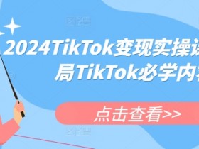 2024TikTok赚钱实战课：零基础入门变现必学技巧-54创业网