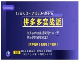拼多多实战派朋哥电商：15节干货大课，简单粗暴可复制，快速提升销量-54创业网