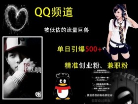 QQ频道引流秘籍：单日500+创业粉兼职粉，被低估的流量巨兽实操攻略-54创业网