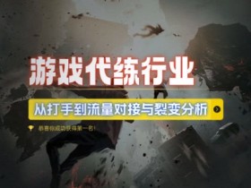 游戏代练赚钱攻略：从打手到流量裂变实操指南-54创业网