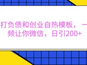 负债创业逆袭模板：抖音1套视频日引200+精准粉到微信【揭秘】-54创业网