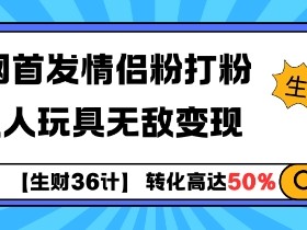 情侣粉打粉变现秘籍：生财36计教你大人玩具暴利玩法-54创业网