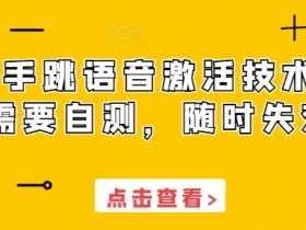 快手语音激活技术自测指南：防失效技巧与实时检测方法-54创业网